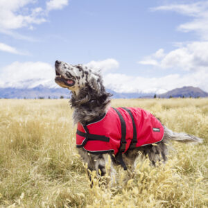 EMF Protective Dog Coat Blokka Taradale