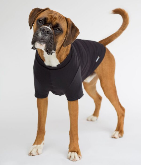 EMF Protective Dog Vest Blokka Amberley - Image 14