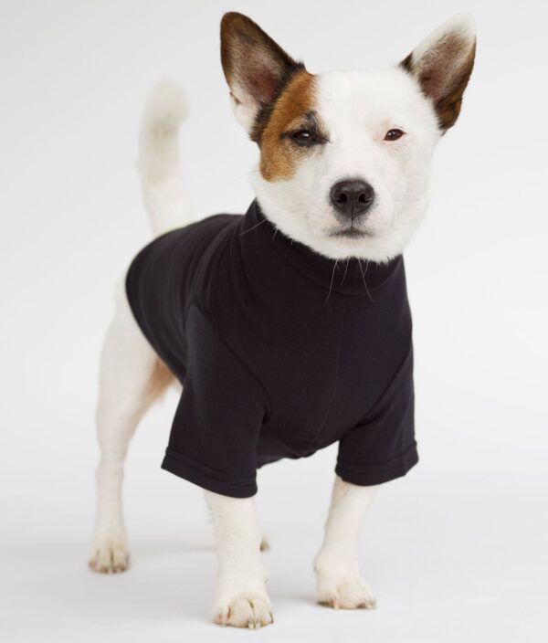 EMF Protective Dog Vest Blokka Amberley - Image 11