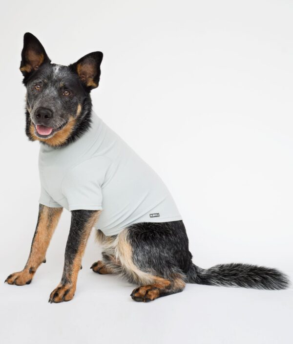 EMF Protective Dog Vest Blokka Amberley - Image 8