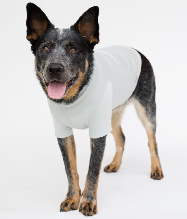 EMF Protective Dog Vest Blokka Amberley - Image 6