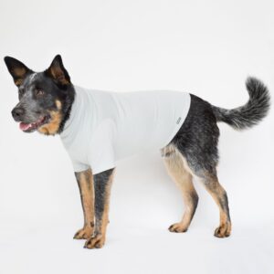 EMF Protective Dog Vest Blokka Amberley