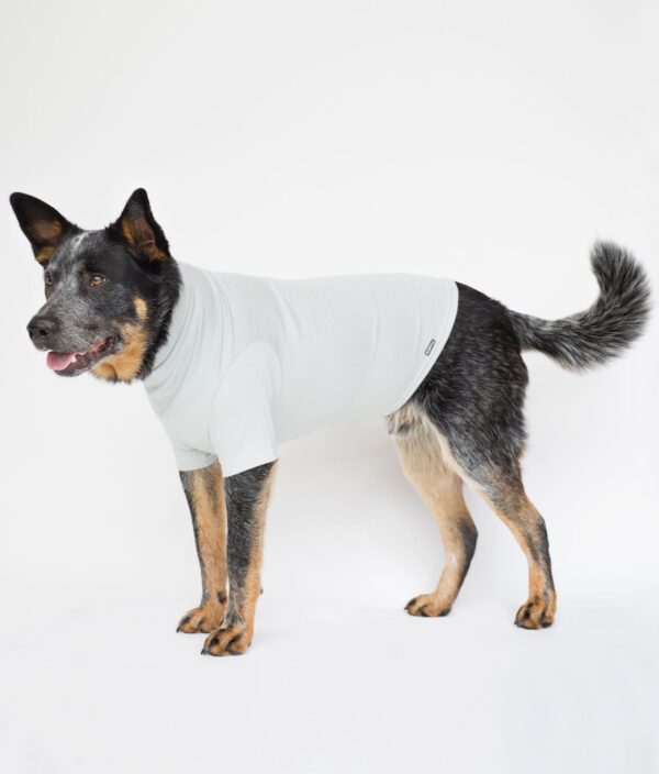 EMF Protective Dog Vest Blokka Amberley