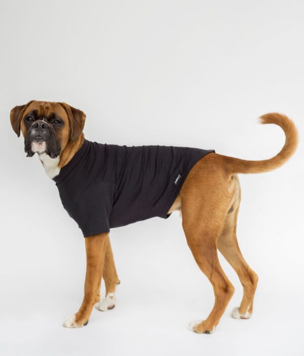 EMF Protective Dog Vest Blokka Amberley - Image 2