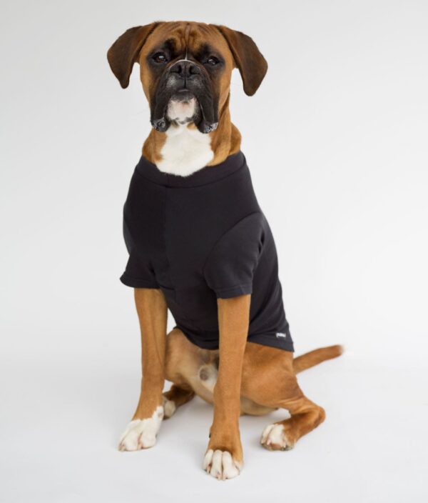 EMF Protective Dog Vest Blokka Amberley - Image 15